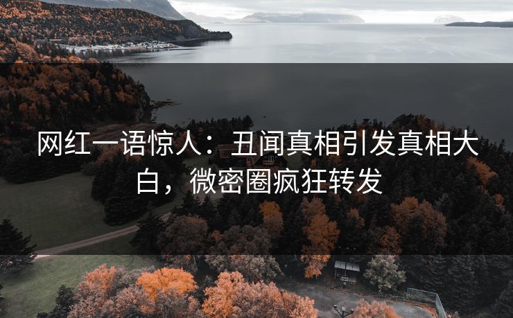 网红一语惊人：丑闻真相引发真相大白，微密圈疯狂转发
