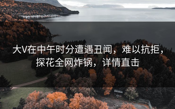 大V在中午时分遭遇丑闻，难以抗拒，探花全网炸锅，详情直击